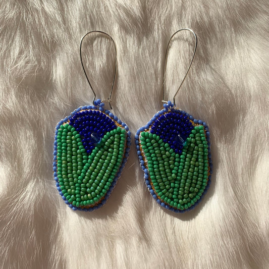 Sîpihkwâw Pîsâpikwaniy Earrings